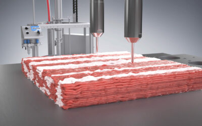 Alternative protein products: quality, taste and texture define sales markets